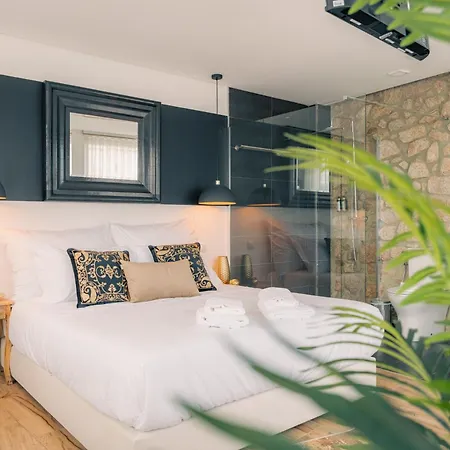 酒店 Aquenio Do Ourico *