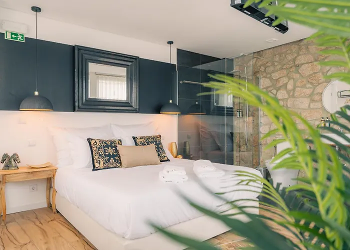 酒店 Aquenio Do Ourico *